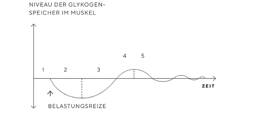 Diagramm zum Glykogenspeicher im Muskel über die Zeit mit Belastungsreizen.